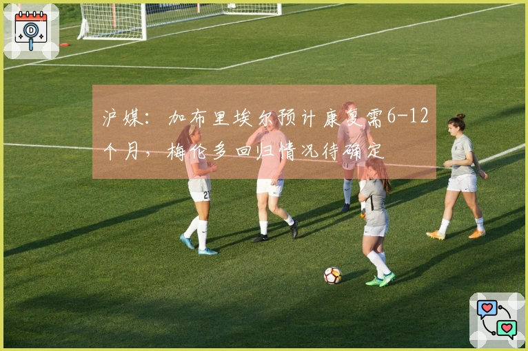 沪媒：加布里埃尔预计康复需6-12个月，梅伦多回归情况待确定