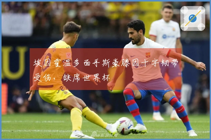 埃因霍温多面手斯豪滕因十字韧带受伤，缺席世界杯
