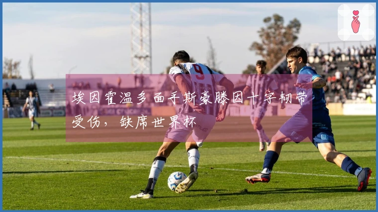 埃因霍温多面手斯豪滕因十字韧带受伤，缺席世界杯
