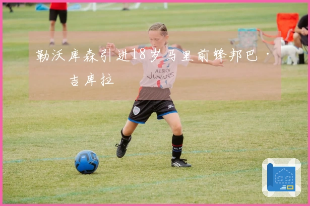 勒沃库森引进18岁马里前锋邦巴·恩吉库拉