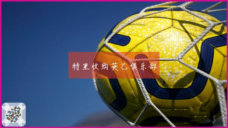 特里收购英乙俱乐部