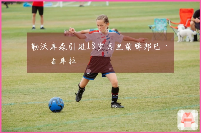 勒沃库森引进18岁马里前锋邦巴·恩吉库拉