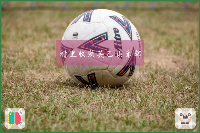 特里收购英乙俱乐部